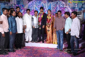 Srisailam Yadav Son Wedding Reception