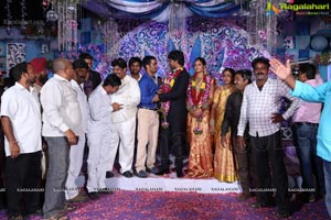 Srisailam Yadav Son Wedding Reception