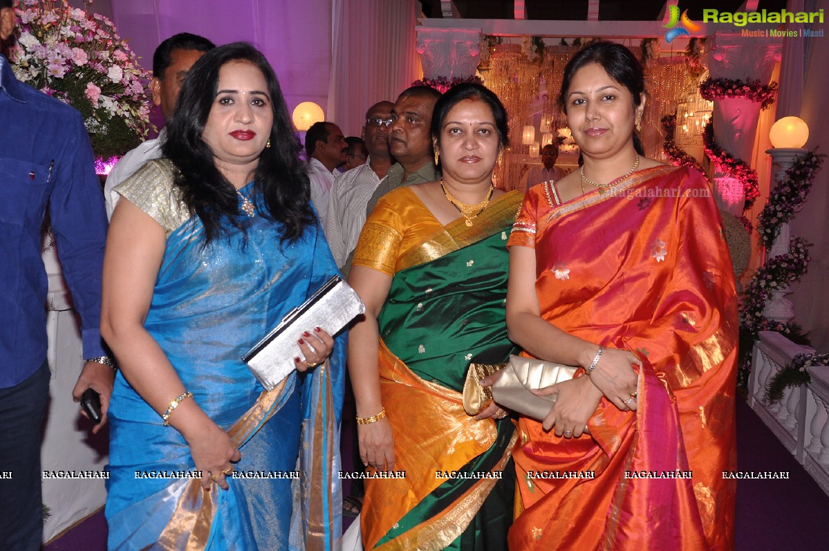 Sphoorthi Reddy-Sujith's Wedding Reception