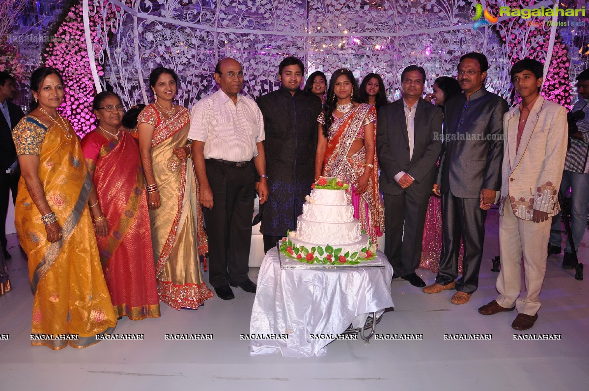 Sphoorthi Reddy-Sujith's Wedding Reception