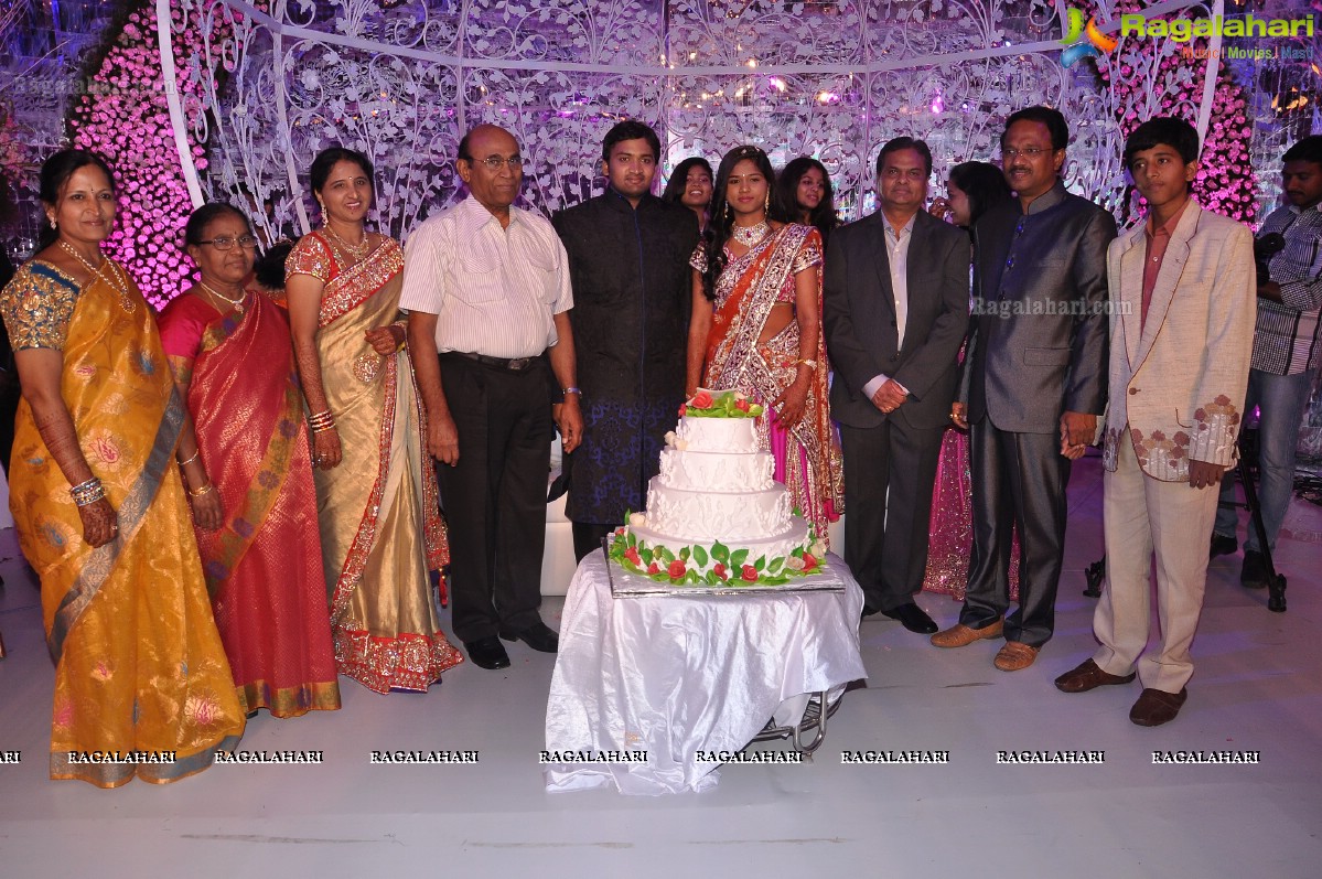 Sphoorthi Reddy-Sujith's Wedding Reception