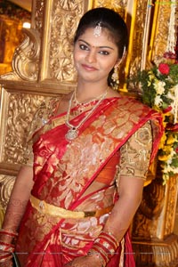 Talasani Srinivas Yadav Son Sai Yadav-Mahita Wedding Reception