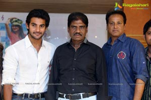 Pyar Mein Padipoyne Success Meet