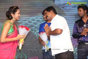 Ra Ra Krishnayya Audio Release