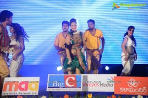 Shankara Audio Release