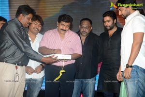 Shankara Audio Release