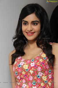 Adah Sharma Cell Point Brand Ambassador