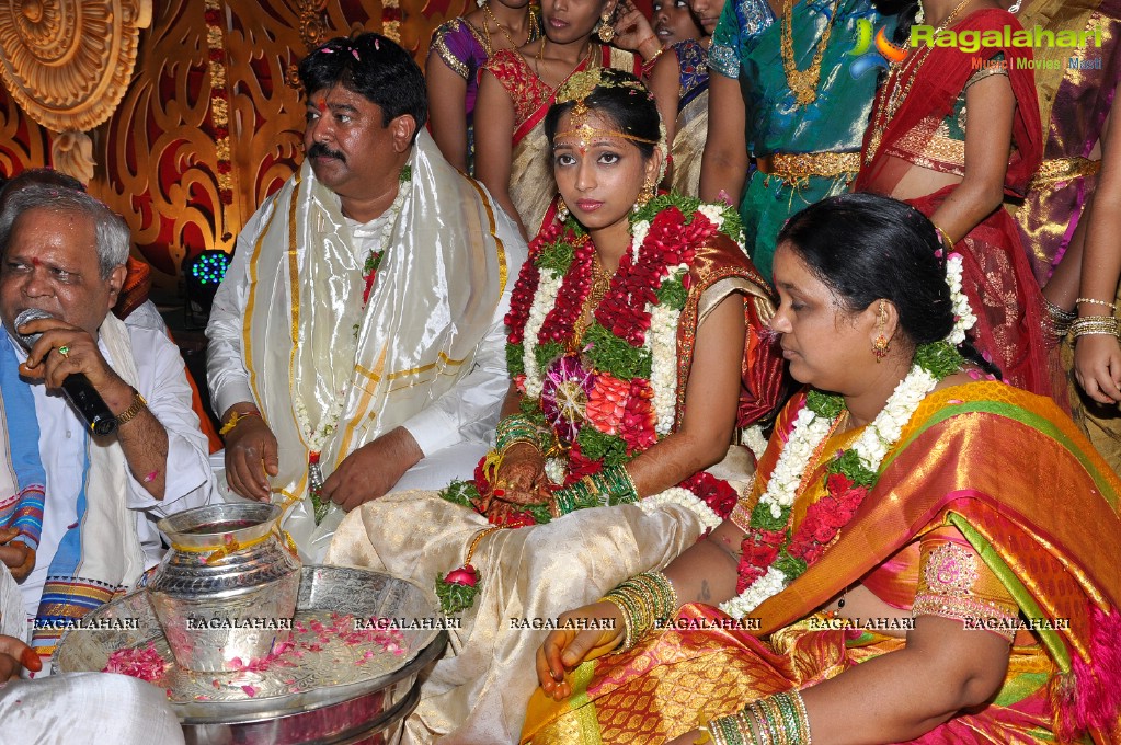 Chinna Srisailam Yadav Daughter Samanvi's Wedding