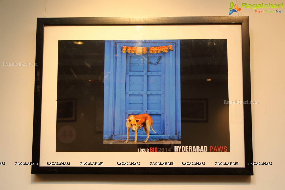 Focus Big Photo Exhibition at Muse Art Gallery, Hyderabad