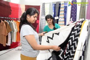 Pochampally Ikat Art Mela 2014