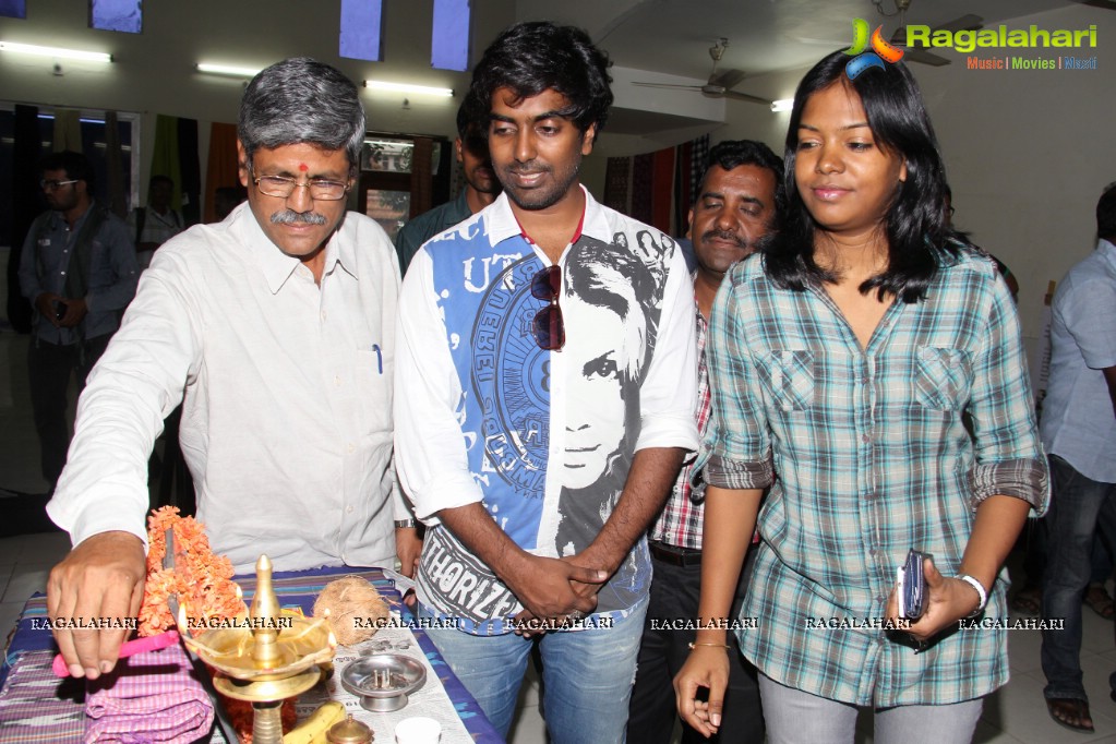 Pochampally Ikat Art Mela 2014 at Kalinga Cultural Hall, Hyderabad