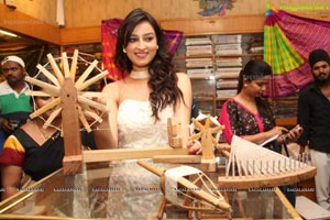 IKAT Handloom Mela 2014