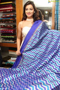 IKAT Handloom Mela 2014