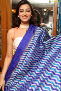 IKAT Handloom Mela 2014