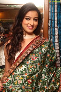 IKAT Handloom Mela 2014