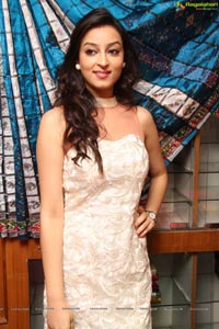 IKAT Handloom Mela 2014