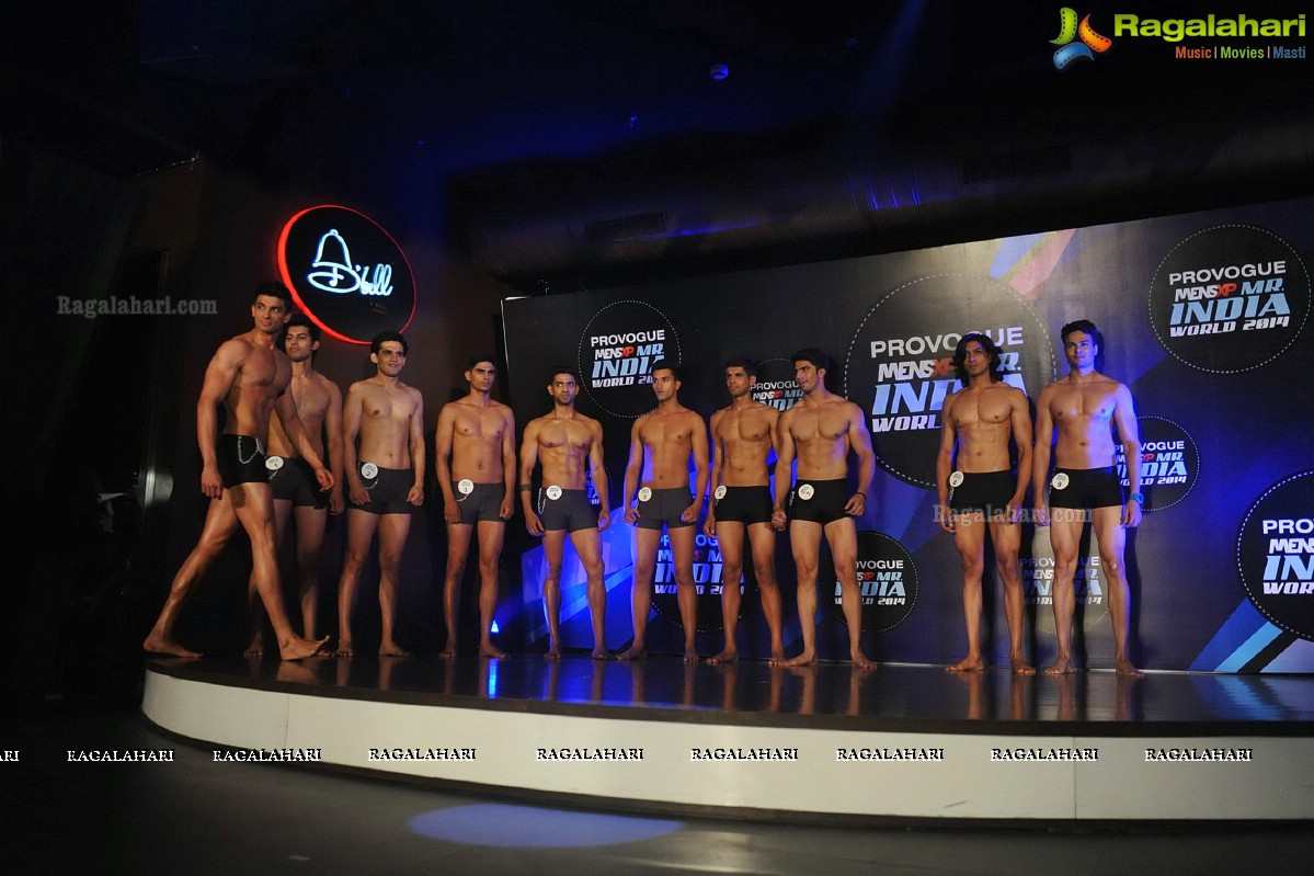 Mr. India 2014 World Grand Finale, Mumbai