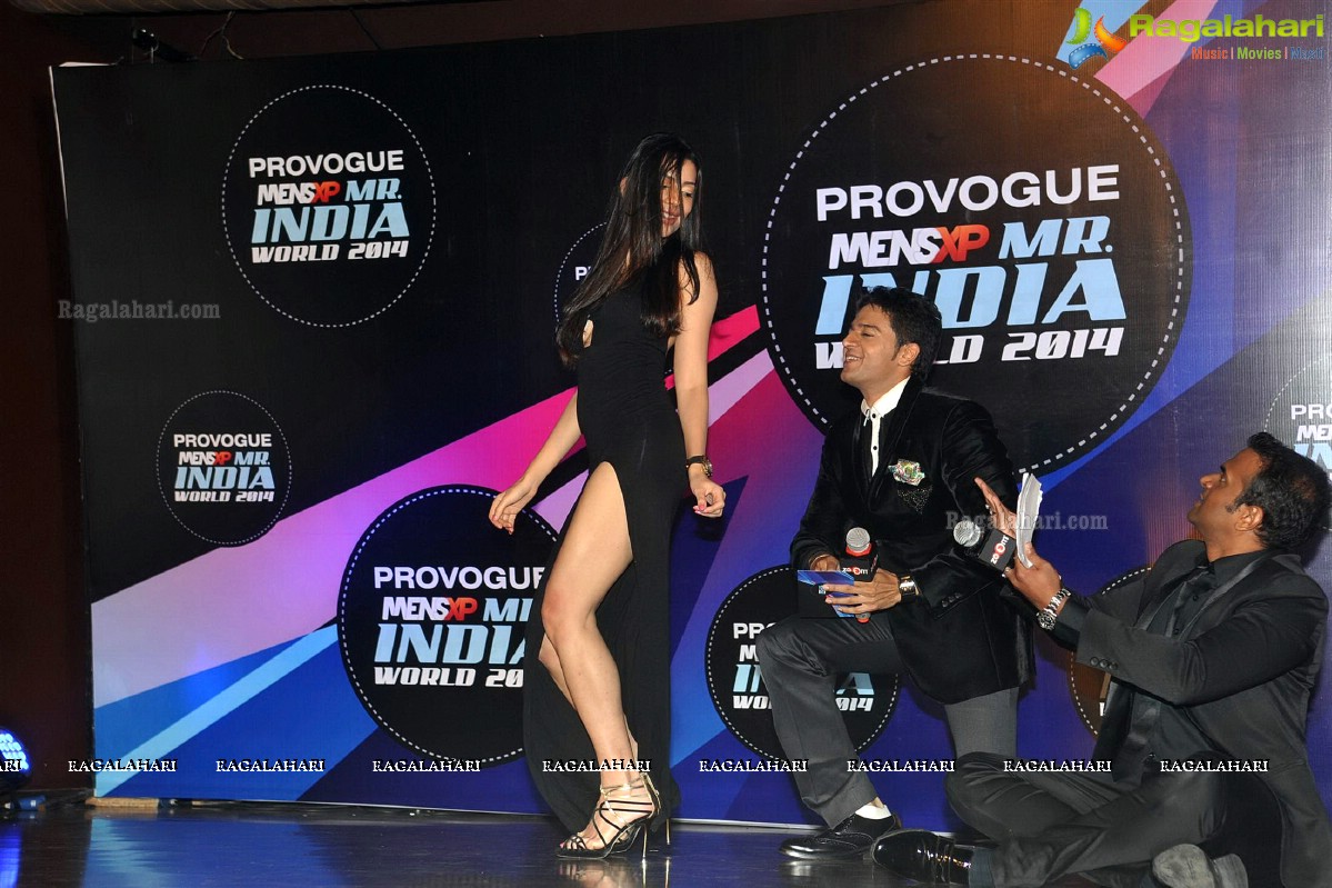 Mr. India 2014 World Grand Finale, Mumbai