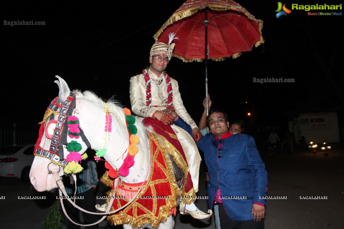 Nikhil Mittal-Deepika Wedding Ceremony at Pearl Gardens, Hyderabad