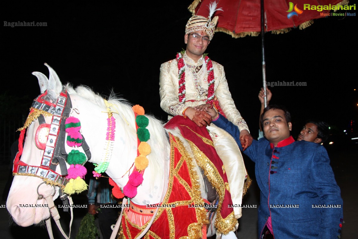 Nikhil Mittal-Deepika Wedding Ceremony at Pearl Gardens, Hyderabad