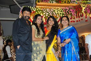 Raja Ravindra Daughter Wedding