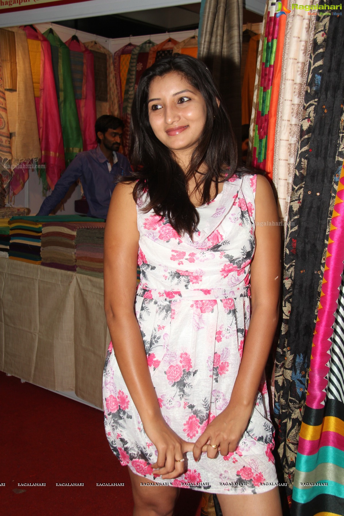 Silk India Expo 2014 Launch by Akshaya and Vinny