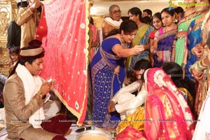 Sivaji Raja Daughter Wedding Photos