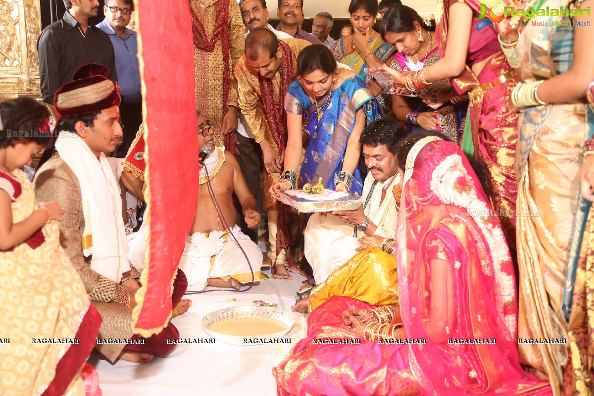 Sivaji Raja's Daughter Rani Meghana Devi Wedding