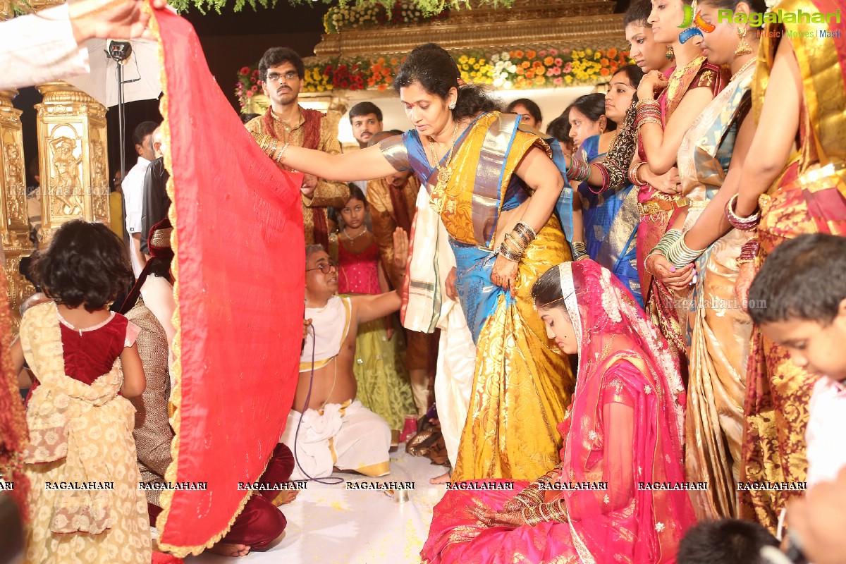 Sivaji Raja's Daughter Rani Meghana Devi Wedding