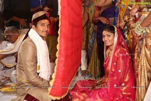 Sivaji Raja Daughter Wedding Photos