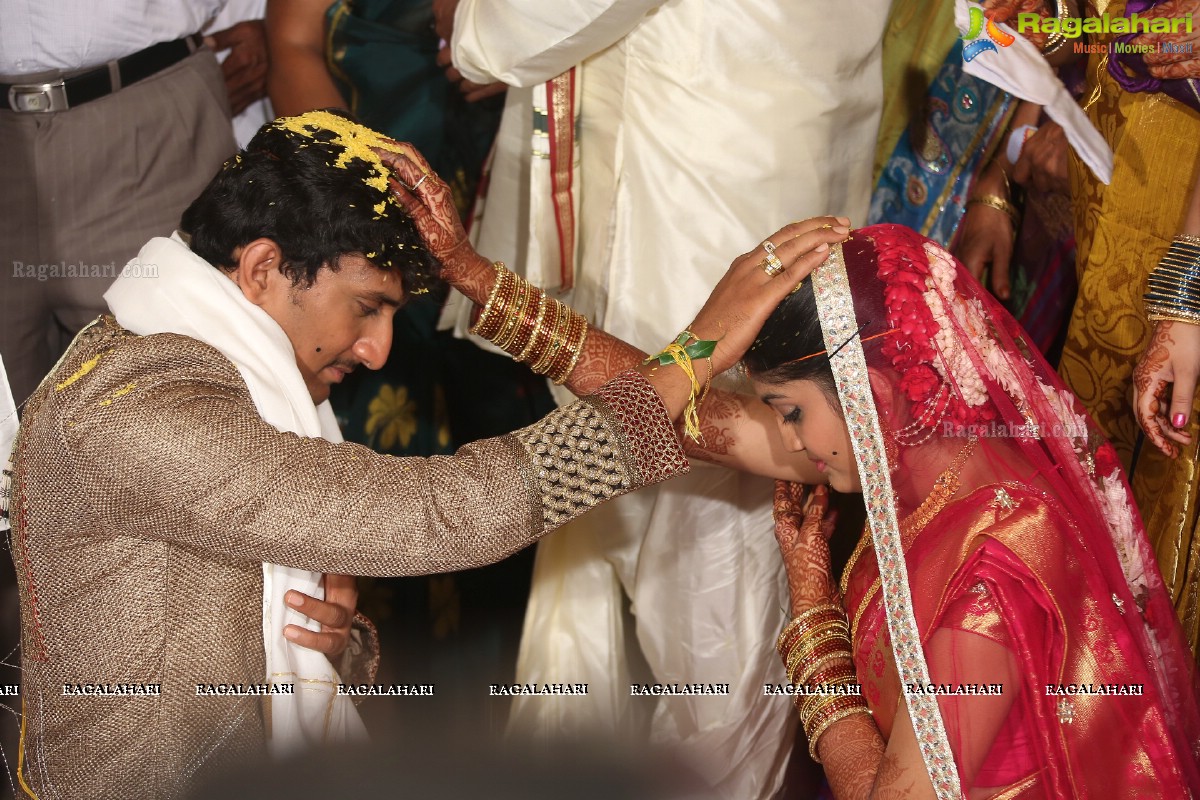 Sivaji Raja's Daughter Rani Meghana Devi Wedding