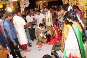 Sivaji Raja Daughter Wedding Photos