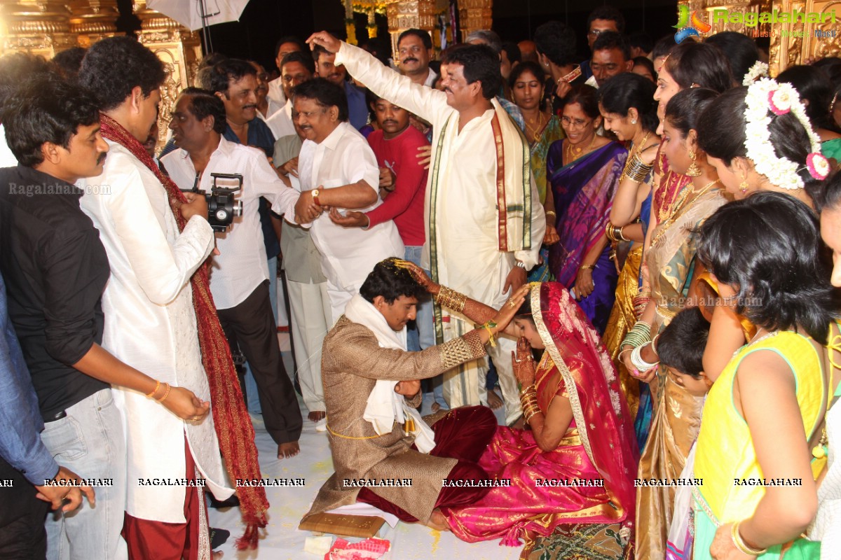 Sivaji Raja's Daughter Rani Meghana Devi Wedding