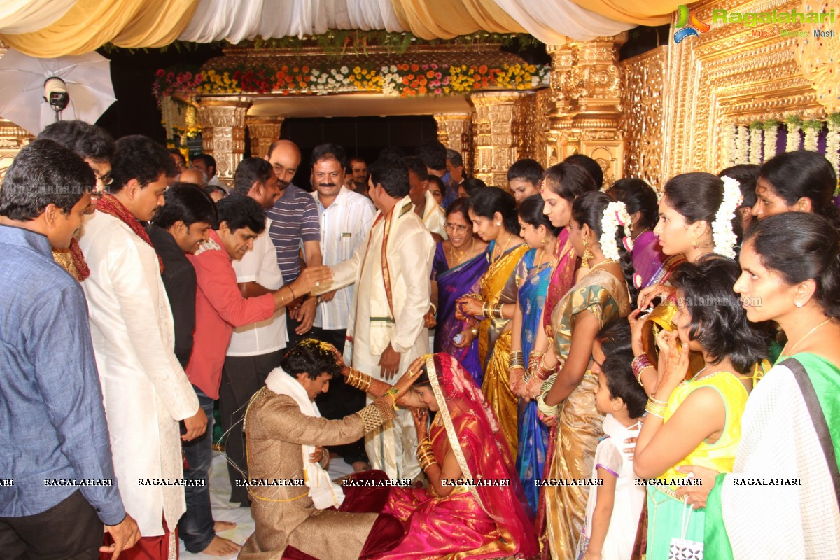 Sivaji Raja's Daughter Rani Meghana Devi Wedding