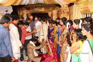 Sivaji Raja Daughter Wedding Photos