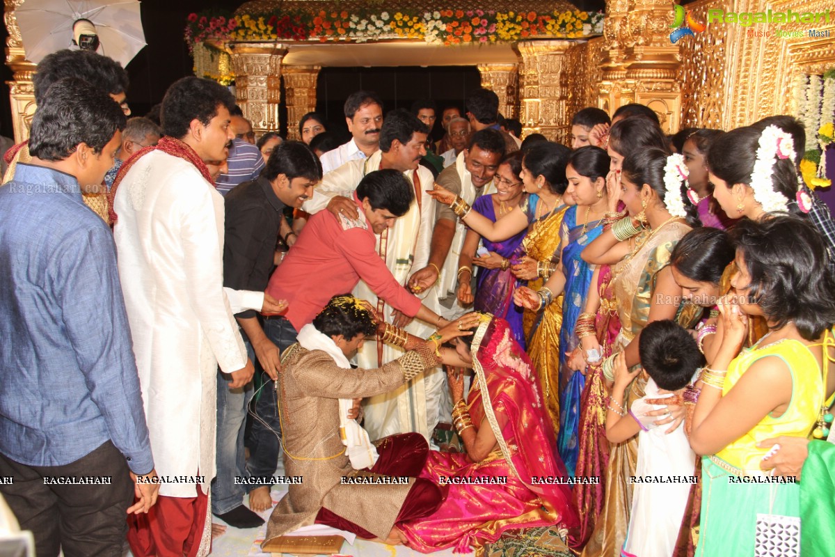 Sivaji Raja's Daughter Rani Meghana Devi Wedding