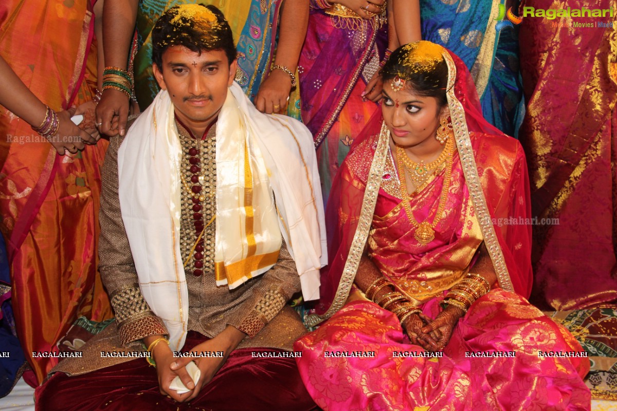 Sivaji Raja's Daughter Rani Meghana Devi Wedding