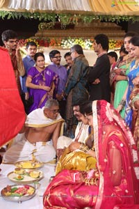 Sivaji Raja Daughter Wedding Photos