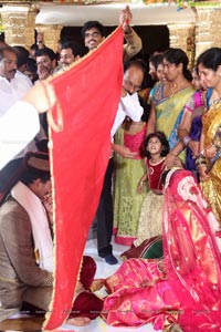 Sivaji Raja Daughter Wedding Photos