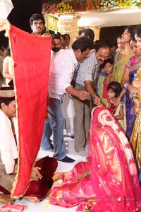 Sivaji Raja Daughter Wedding Photos