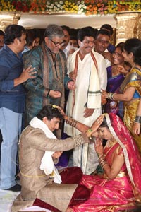 Sivaji Raja Daughter Wedding Photos