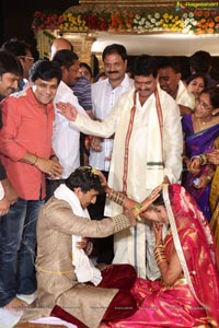 Sivaji Raja Daughter Wedding Photos