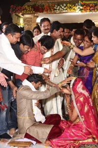 Sivaji Raja Daughter Wedding Photos