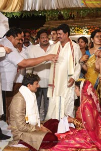 Sivaji Raja Daughter Wedding Photos