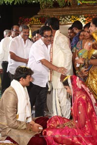 Sivaji Raja Daughter Wedding Photos