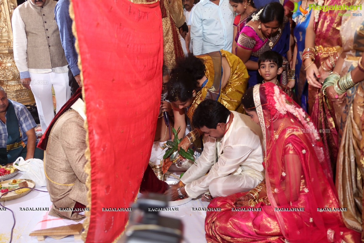 Sivaji Raja's Daughter Rani Meghana Devi Wedding