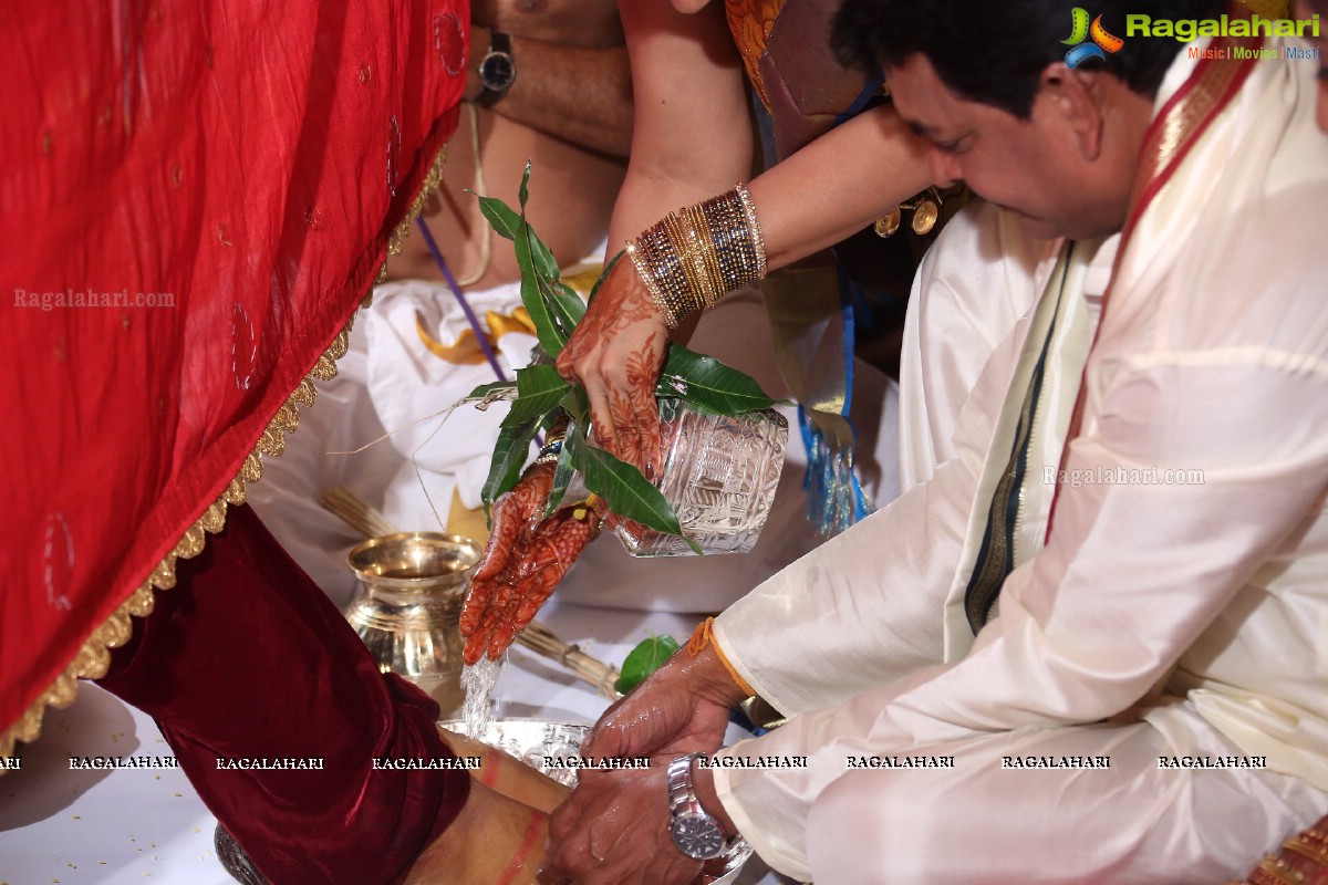 Sivaji Raja's Daughter Rani Meghana Devi Wedding