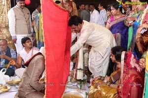 Sivaji Raja Daughter Wedding Photos