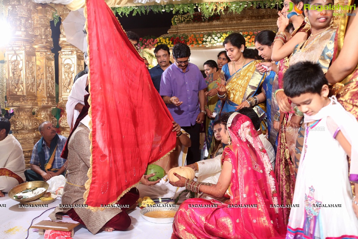 Sivaji Raja's Daughter Rani Meghana Devi Wedding