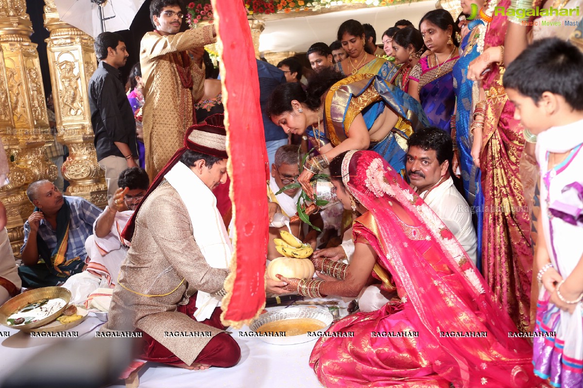 Sivaji Raja's Daughter Rani Meghana Devi Wedding